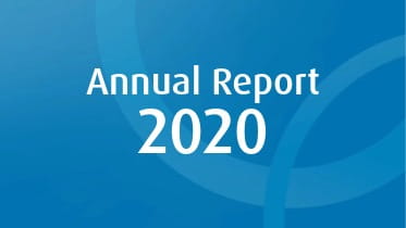 annual-report-2020